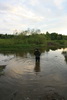 Picture Picture