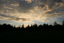 Picture Picture
